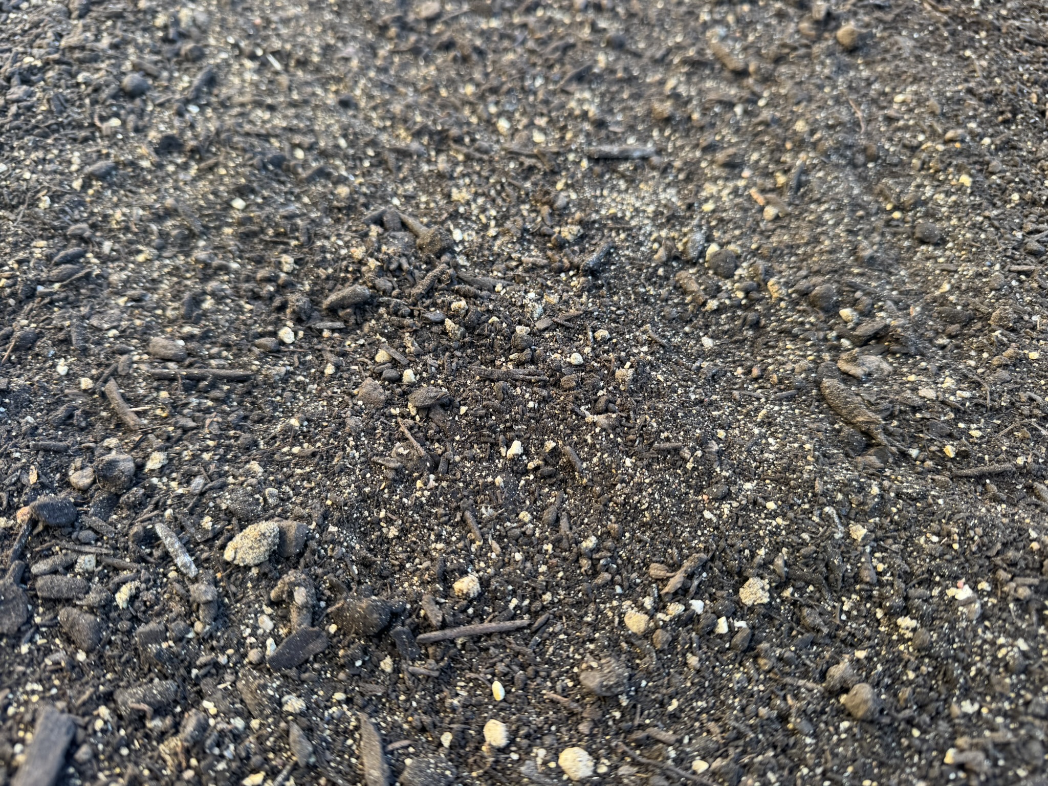 PA - Product Image - Garden Bed Mix as of 2-1-26